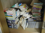 DSCF3199.jpg