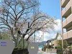 IMG_0004.jpg