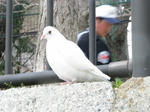 IMG_0023.jpg