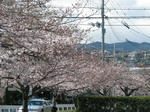IMG_0059.jpg