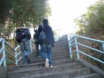 IMG_0143.jpg