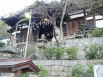 DSCF3438.jpg