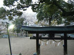 DSCF3439.jpg