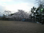 DSCF3440.jpg