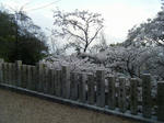 DSCF3443.jpg