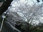 DSCF3448.jpg