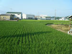 DSCF1190.jpg