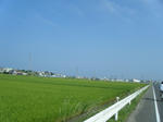 DSCF1197.jpg