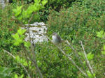 IMG_0146.jpg
