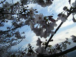 DSCF3388.jpg