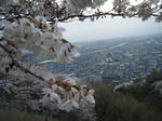 DSCF3390.jpg