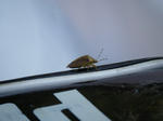 DSCF5065.jpg