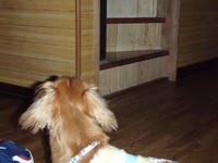 5d84f574.jpg