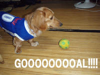 GOAL.jpg