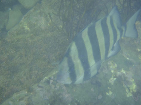 PA020617.JPG
