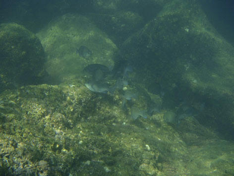 PA070677.JPG