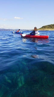 20111524sea3.jpg