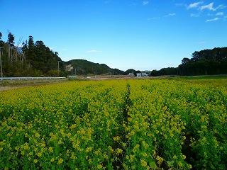 s-20121219.jpg