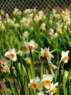 20130214.jpg