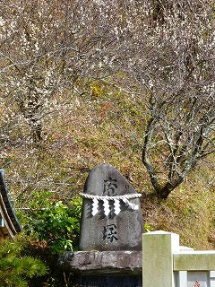 20130223c.jpg