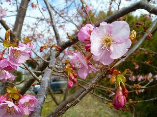 20130223e.jpg