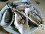 CA3C0072.jpg