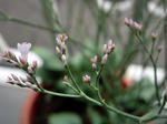 CIMG0413.JPG