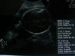 SN3C0058.jpg