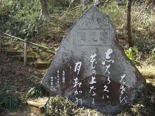 sibarakuha1.JPG