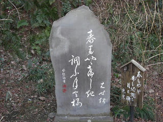 harumoyaya.JPG