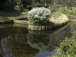 bd53b174.JPG