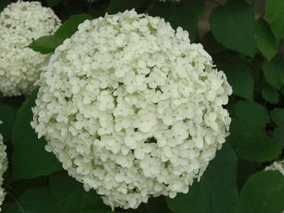 559e344e.JPG