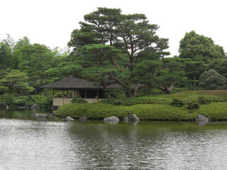 5202cf39.JPG