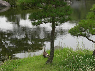 a0202e35.JPG