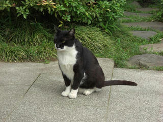 355063a8.JPG