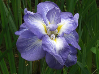 3872d905.JPG