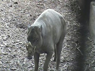 b0068197_23584555.jpg