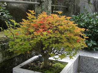 10.26.6.JPG