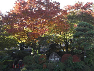 11.28.1.JPG
