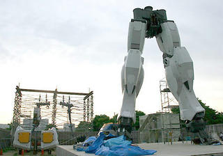 883755d0.jpg