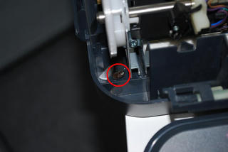bug1.JPG