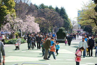 resize0002.jpg