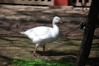 resize0016.jpg