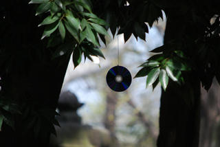 resize0018.jpg