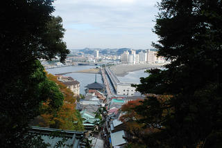 resize0008.jpg