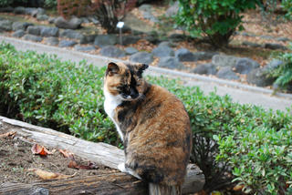 resize0010.jpg