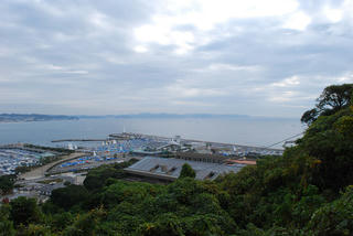 8b744d87.jpg