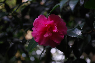 resize0023.jpg