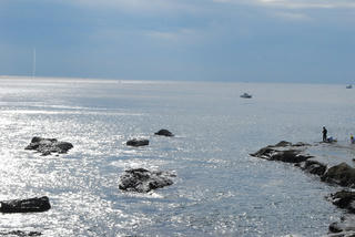 resize0037.jpg