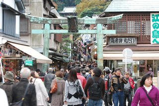 resize0110.jpg